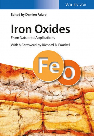 2016 - Iron Oxide-Based Pigments and Their Use in History in D. Faivre, “Iron Oxides: From Nature to Materials and From Formation to Applications”, Wiley, June 2016